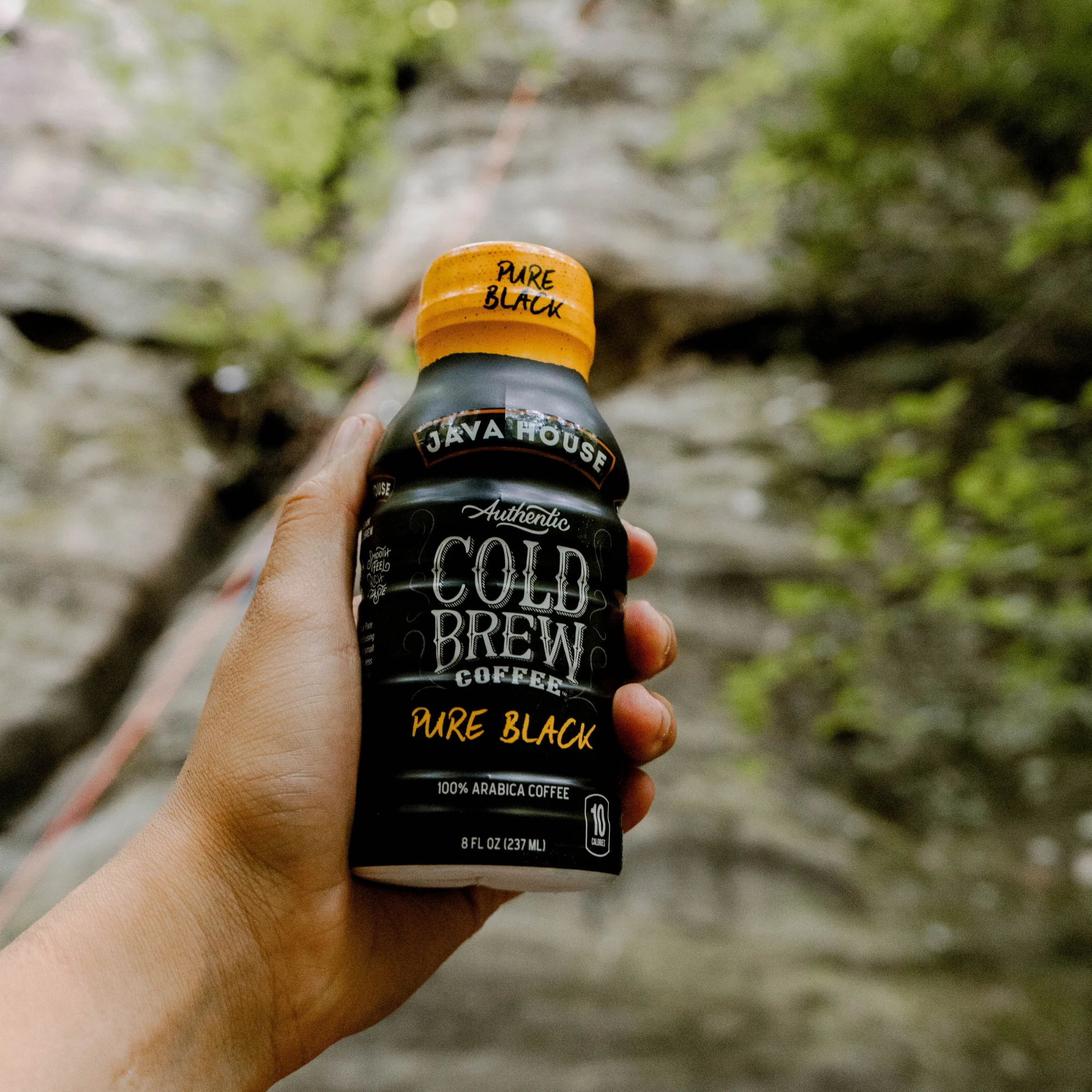 Cold Brew 8oz Bottles - Pure Black - Image 6